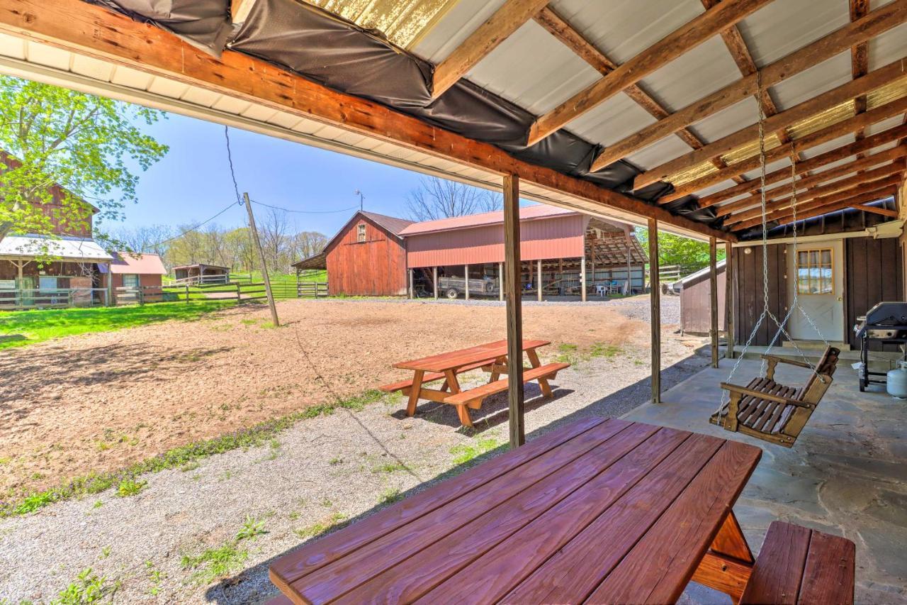 Lovely - Multiple Decks Mifflinburg